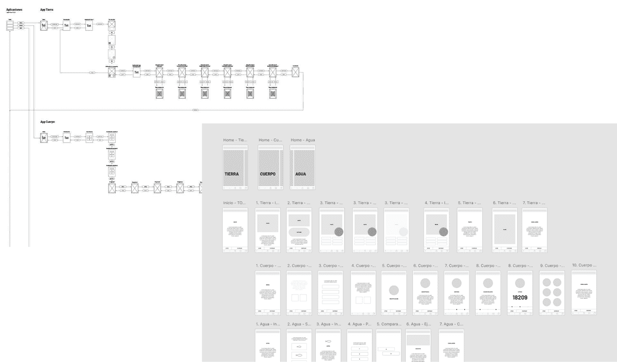 Content architecture and wireframes for one of the complementary digital products